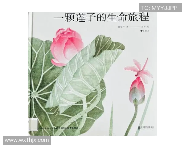 吉布森的传奇人生与创作旅程探索与启示